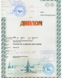[STORY]-[NECTARINE]-[05.02.2021]-[САС]-МОО КК АКС-Москва-Кремнев Михаил
