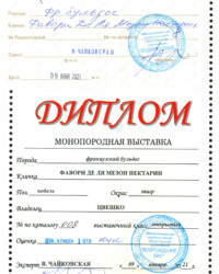 [STORY]-[NECTARINE]-[09.01.2021]-[МОНО]-МКОО Возрождение Бис-Москва-Чайковская Валентина