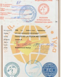 [STORY]-[NECTARINE]-[11.04.2021]-[САС]-ТООО КЦ Аванти-Тула-Масалевичене Наталья
