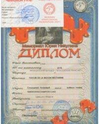 [STORY]-[NECTARINE]-[13.02.2021]-[САС]-КЛЖ Фауна-Москва-Васильев Олег