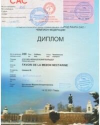 [STORY]-[NECTARINE]-[14.02.2021]-[САС]-ТГ ОО ОКП-Тверь-Крымская Марина