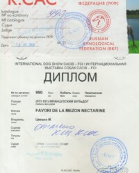 [STORY]-[NECTARINE]-[15.05.2021]-[CACIB]-ПООО КЭС Бэст-Псков-Воислав Ал-Дагхистани