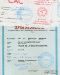 [STORY]-[NECTARINE]-[23.05.2021]-[CAC]-ПГОО КЛЖ Русь-Подольск- Бровкина Татьяна
