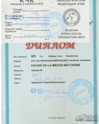 [STORY]-[NECTARINE]-[23.05.2021]-[CAC]-ПГОО КЛЖ Русь-Подольск-Баклушин Георгий