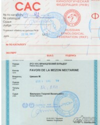 [STORY]-[NECTARINE]-[23.05.2021]-[МОНО]-ПГОО КЛЖ Русь-Подольск-Баклушин Георгий
