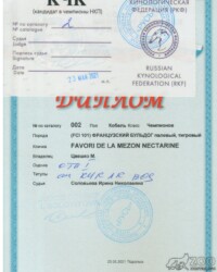 [STORY]-[NECTARINE]-[23.05.2021]-[МОНО]-ПГОО КЛЖ Русь-Подольск-Соловьева Ирина