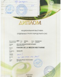 [STORY]-[NECTARINE]-[24.03.2021]-[САС]-МКОО КЛЖ Мастерс-Москва-Выгузов Игорь
