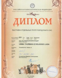 [STORY]-[UMMA]-[01.10.2020]-[CAC]-МКОО Профессионал-Москва-Островская Марина