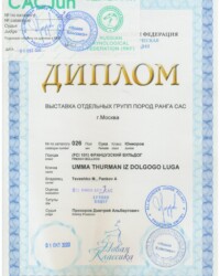 [STORY]-[UMMA]-[01.10.2020]-[CAC]-МОРКОО Новая Классика-Москва-Прозоров Дмитрий