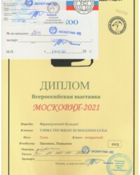[STORY]-[UMMA]-[03.04.2021]-[САС]-ОЛЖ ЛИГА'С-Москва-Чайковская Валентина