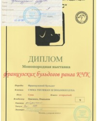 [STORY]-[UMMA]-[03.04.2021]-[МОНО]-ОЛЖ ЛИГА'С-Москва-KANDIJAS Adriano (Сербия)