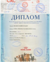 [STORY]-[UMMA]-[03.05.2021]-[САС]-РОО СККЛС АРГУС-Москва-Гаврилова Яна