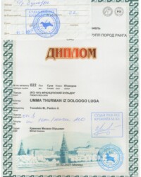 [STORY]-[UMMA]-[05.02.2021]-[САС]-МОО КК АКС-Москва-Кремнев Михаил