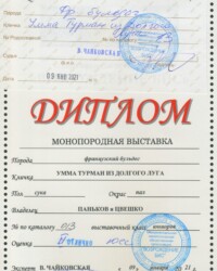 [STORY]-[UMMA]-[09.01.2021]-[МОНО]-МКОО «Возрождение Бис»-Москва-Чайковская Валентина