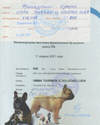 [STORY]-[UMMA]-[11.04.2021]-[МОНО]-ТООО КК Чемпион-Тула-Трифонова Ирина
