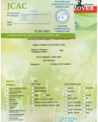 [STORY]-[UMMA]-[13.06.2021]-[CACIB]-РКФ-Москва-Лобакин Виктор