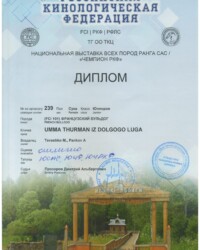 [STORY]-[UMMA]-[17.10.2020]-[CAC]-ТГ ОО ТКЦ-Тверь-Прозоров Дмитрий