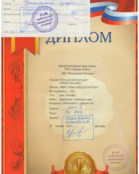 [STORY]-[UMMA]-[20.11.2021]-[МОНО]-РОО КЛЖ «Олимп»-Москва-Кремнев Михаил