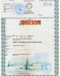 [STORY]-[UMMA]-[22.10.2021]-[CAC]-МОО КК АКС-Москва-Крюкова Елена