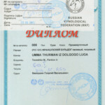 [STORY]-[UMMA]-[23.05.2021]-[МОНО]-ПГОО КЛЖ Русь -Подольск-Баклушин Георгий