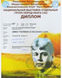 [STORY]-[UMMA]-[25.10.2020]-[CAC]-РРОО КК УРСА МАЖОР-Рязань-Белякова Оксана