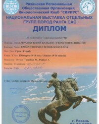 [STORY]-[UMMA]-[25.10.2020]-[CAC]-РРОО КК Сириус-Рязань-Белякова Ирина