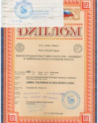 [STORY]-[UMMA]-[27.10.2020]-[МОНО]-РОО ОЛСБП Бриз-Москва-Соловьева Ирина