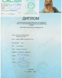 [STORY]-[UMMA]-[27.12.2020]-[САС]-РОО КУМИР-Москва-Гаврилова Яна