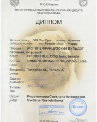 [STORY]-[UMMA]-[29.08.2020]-[CAC]-РОО КК Карлин-Москва-Решетникова Светлана
