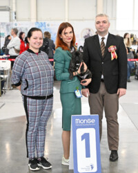 IST SHAIN YAGERMASTER (CH AVIGDORS SAVINO X INT CH AVIGDORS LUCREZIA)