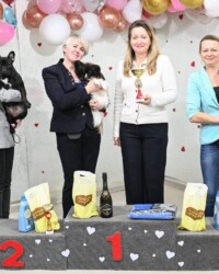 Расстановка призёров конкурса лучших юниоров выставки «Зимний вечер»: французский бульдог CINQ ÉTOILES D'OR SHANEL на втором месте