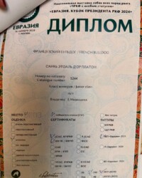 Выставочный материал Платона: 16.11.2024 — «Евразия. Кубок Президента РКФ 2024»
