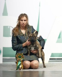 Платон с хендлером Натальей Мариянковой и победной розеткой на выставке «Евразия» 16 ноября 2024 года
