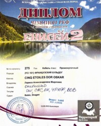Диплом Оскара, выставка «Енисей 2», Красноярск, 10 августа 2025