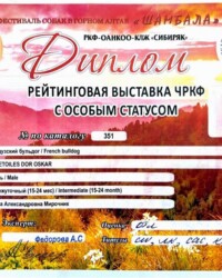 Диплом Оскара, выставка фестиваля «Шамбала», Горно-Алтайск, 30 августа 2025