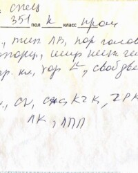 Описание Оскара экспертом, выставка фестиваля «Шамбала», 30 августа 2025