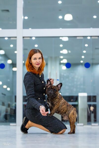 Хендлер придерживает тигрового французского бульдога, тот смотрит в камеру