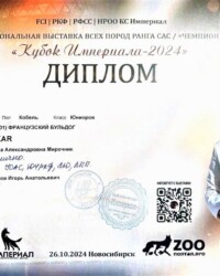 Диплом Оскара, выставка «Кубок Империала-2024», Новосибирск, 26 октября 2024