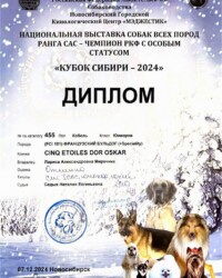 Диплом Оскара, выставка «Кубок Сибири-2024», Новосибирск, 7 декабря 2024