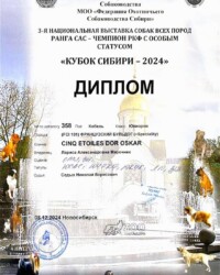 Диплом Оскара, 3-я национальная выставка «Кубок Сибири-2024», Новосибирск, 8 декабря 2024