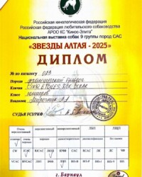 Диплом Оскара, выставка 9 группы «Звёзды Алтая-2025», Барнаул, 15 февраля 2025