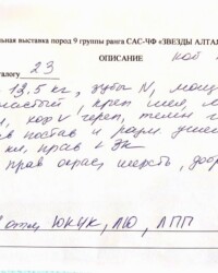 Описание Оскара экспертом, выставка 9 группы «Звёзды Алтая-2025», 15 февраля 2025