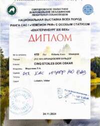 Диплом Оскара, выставка «Екатеринбург XXI век», 24 ноября 2024
