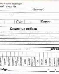 Описание Оскара экспертом, выставка «Фаворит Алтая-2025», 5 июля 2025
