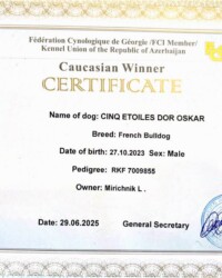 Сертификат Caucasian Winner, CINQ ÉTOILES D'OR OSKAR