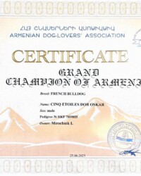 Сертификат гранд чемпиона Армении, CINQ ÉTOILES D'OR OSKAR
