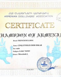 Сертификат чемпиона Армении, CINQ ÉTOILES D'OR OSKAR