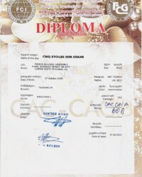Диплом Оскара, международная выставка BATUMI CUP-2025, Батуми, 27 июня 2025