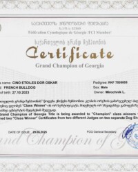 Сертификат гранд чемпиона Грузии, CINQ ÉTOILES D'OR OSKAR