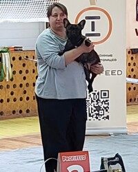 Иштар на руках у хендлера в ринге, позади стенд выставки